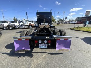 2022 KENWORTH W900 IMG_7779-150x150
