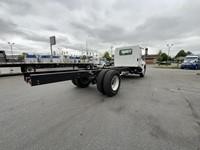 2025 HINO L6 - image 5 of 6