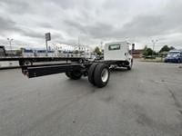 2025 HINO L6 - image 5 of 6